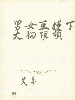 男女互摸下面揉大胸视频