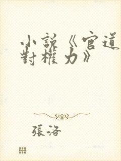 小说《官道之绝对权力》