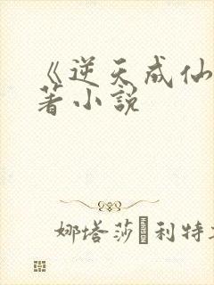《逆天成仙》原著小说