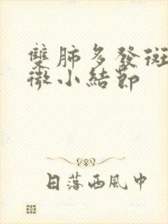 双肺多发斑点及微小结节