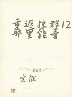 重返狼群12集哪里能看