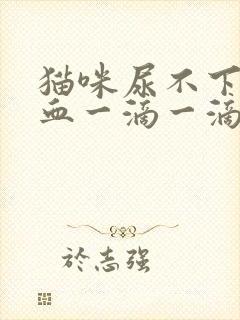 猫咪尿不下来尿血一滴一滴的用什么药