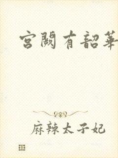 宫阙有韶华封面