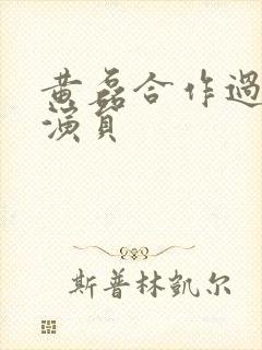 黄磊合作过的女演员封面