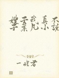 嫂子我真不是傻子叶凡小说全文免费阅读