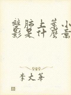 双肺上叶小结节影是什么意思封面