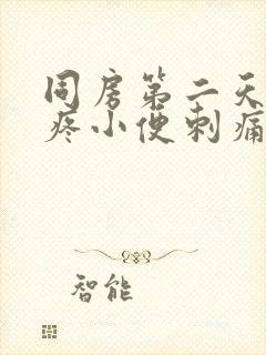 同房第二天小腹疼小便刺痛