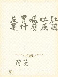 反胃呕吐肚子疼是什么原因封面