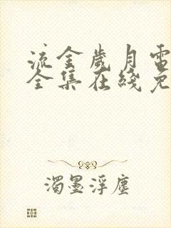 流金岁月电视剧全集在线免费观看