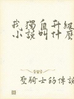 我独自升级原著小说叫什么