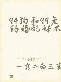 94狗和99兔的婚配好不好