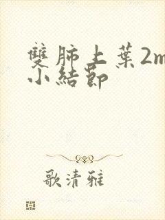 双肺上叶2mm小结节