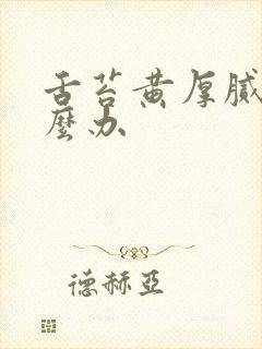 舌苔黄厚腻 怎么办