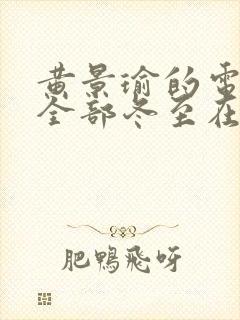 黄景瑜的电视剧全部冬至在线观看