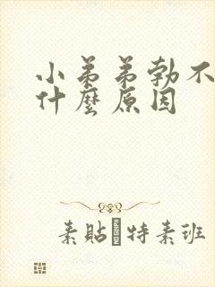 小弟弟勃不起是什么原因