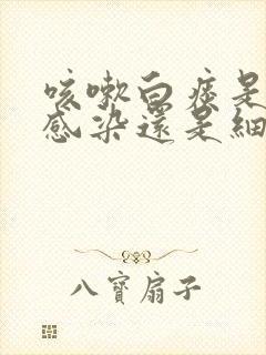 咳嗽白痰是病毒感染还是细菌感染封面