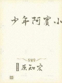 少年阿宾小说