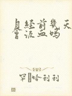 月经前几天同房会流血吗