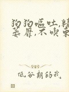 狗狗呕吐,精神萎靡,不吃东西封面