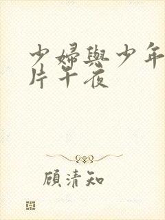 少妇与少年理论片午夜