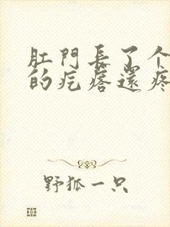 肛门长了个硬硬的疙瘩还疼怎么回事