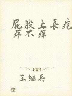 屁股上长疙瘩不疼不痒