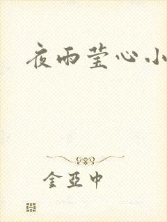 夜雨莹心小说