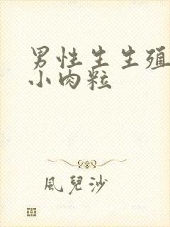 男性生生殖器长小肉粒