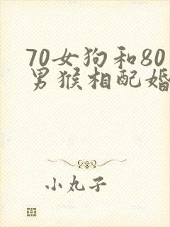 70女狗和80男猴相配婚姻如何