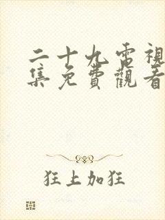 二十九电视剧全集免费观看封面