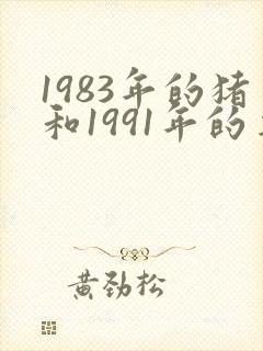 1983年的猪和1991年的羊相配吗