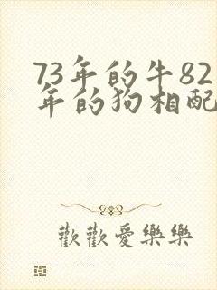 73年的牛82年的狗相配吗