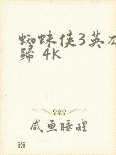 蜘蛛侠3英雄无归 4k