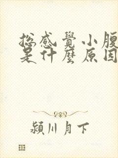 总感觉小腹坠胀是什么原因