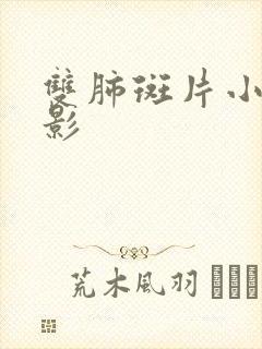 双肺斑片小结节影封面