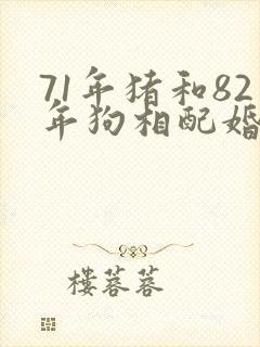 71年猪和82年狗相配婚姻如何
