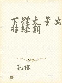 下体大量出血,非经期封面