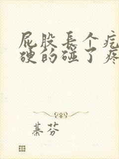 屁股长个疙瘩硬硬的碰了疼