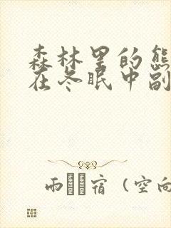 森林里的熊先生在冬眠中副cp