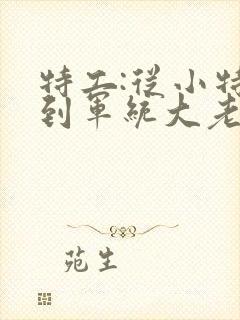 特工:从小特务到军统大老板的小说的612集