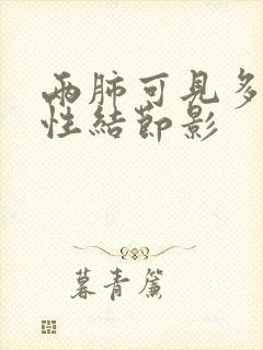 两肺可见多发实性结节影