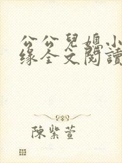 公公儿媳小说孽缘全文阅读