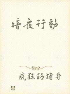 暗夜行动