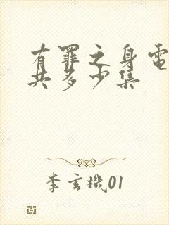 有罪之身电视剧共多少集