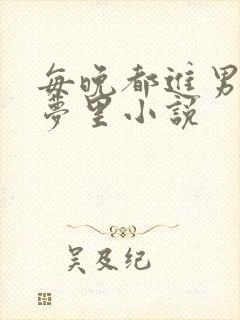 每晚都进男神的梦里小说封面