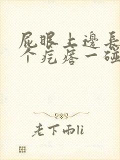 屁眼上边长了一个疙瘩一碰还疼封面