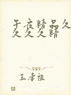 午夜精品久久久久久久精