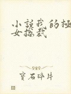 小说我的极品美女总裁封面