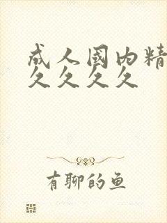 成人国内精品久久久久久