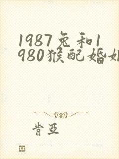 1987兔和1980猴配婚姻好不好封面